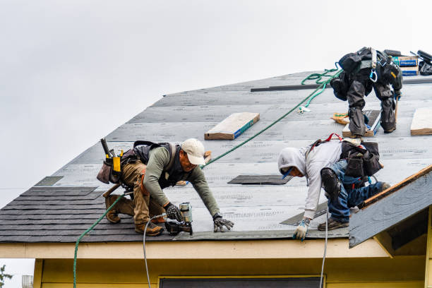 Professional Gutter Installation technician working in Danese, WV
